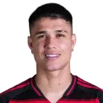 لويز دي أراوجو غويمارايس نيتو