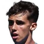 ريكاردو براشي
