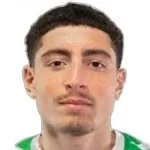 نادير الجامالي